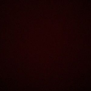 Meet your Posher, Max